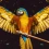 Wings PNG Image