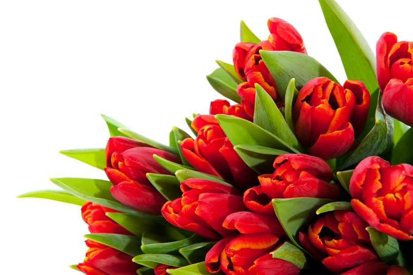 Bouquet Flowers PNG Transparente