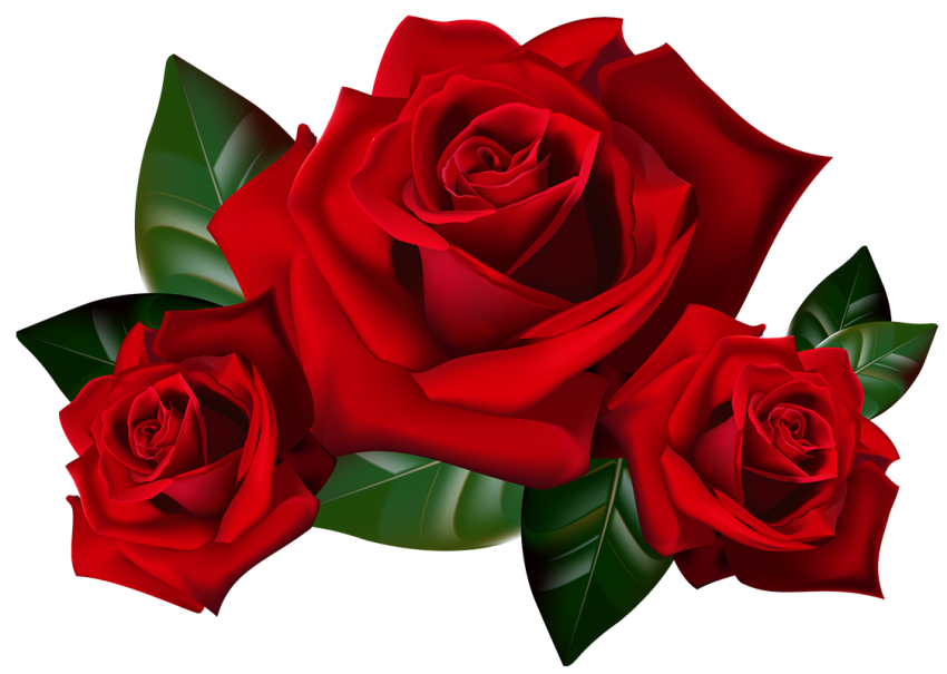 Bouquet Red Rose Flower PNG Image