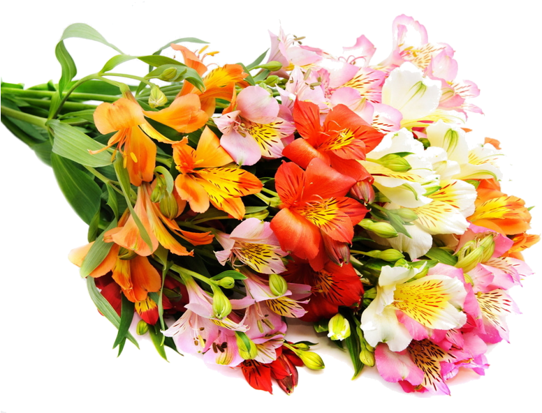 Bunch Of Beautiful Flowers Images PNG