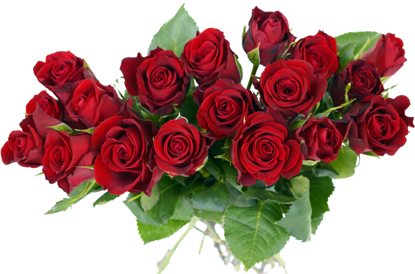 Bunch Of Red Rose Flowers PNG Hd