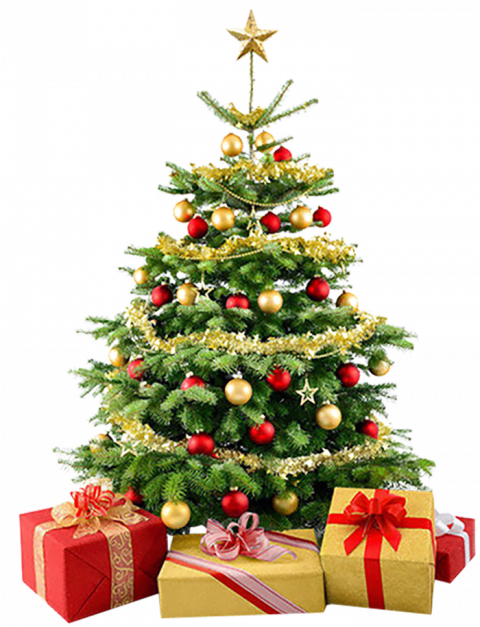 Green Christmas Tree Png Free Download