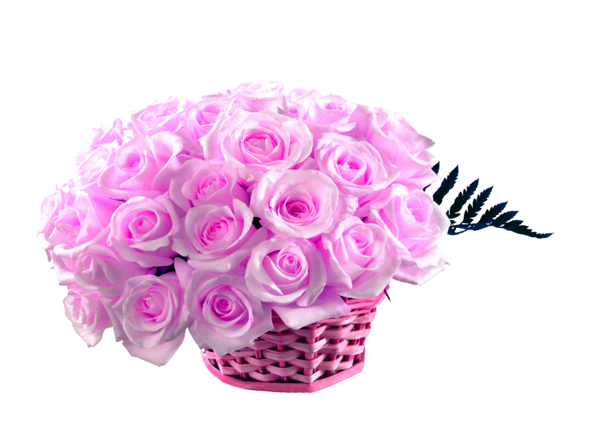 Pink Rose Flowers PNG Basket Hd
