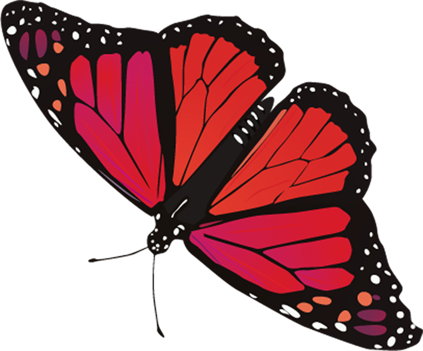 Red Butterfly PNG Images Download HD