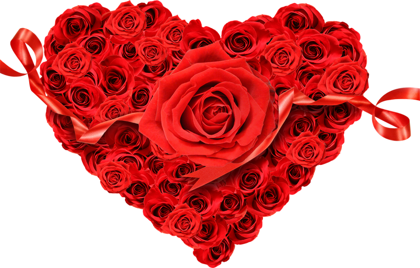 Red Rose Bouquet Flower PNG For Love