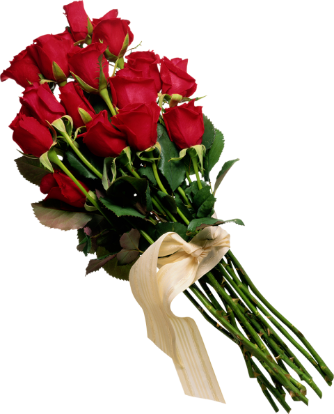Red Rose Bouquet Flowers PNG Image
