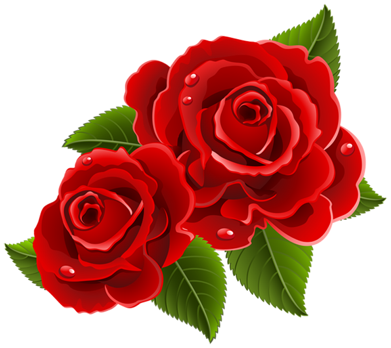 Red Rose Vector Clipart Flower PNG