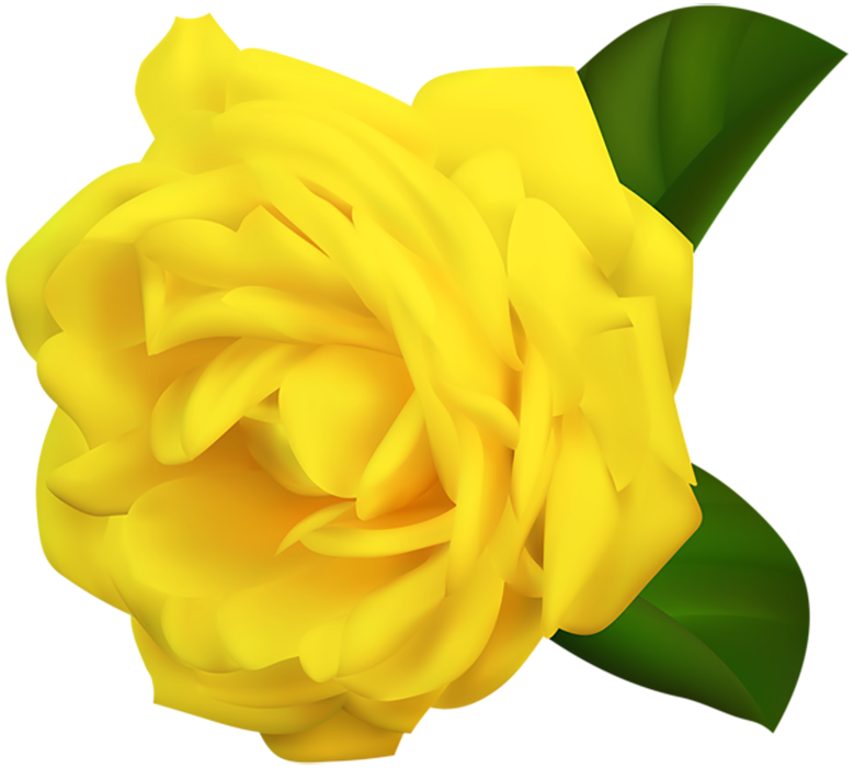 Yellow Rose Flower HD PNG Image